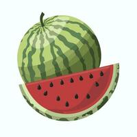 Wassermelone eben Vektor Illustration einstellen