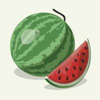 Wassermelone eben Vektor Illustration einstellen