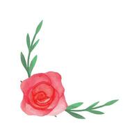Vektor Hand gezeichnet rot Rose isoliert auf Weiß