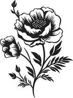 noir blommig dagdröm noir logotyp design element elegant inked kronblad odyssey svart blommig vektorer