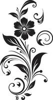 handwerklich Blütenblatt Schriftrollen schwarz Vektor elegant Blumen- Kompliziertheit ikonisch schwarz