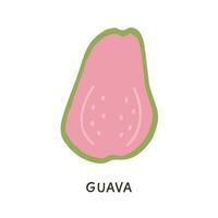 halv skära mogen rosa guava frukt isolerat på vit bakgrund. gott organisk färsk exotisk tropisk frukter. hälsosam vegetarian mat. vektor illustration. färgad klotter ikon.