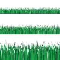 grön gräs gränser uppsättning på transparent vektor bakgrund. vår eller sommar växt fält gräsmatta. vektor illustration