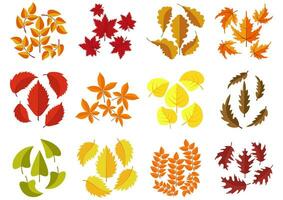 uppsättning av färgrik höst löv isolerat på vit bakgrund. grön, röd och orange fallen höst löv samling i platt stil. vektor illustration