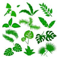tropisk löv vektor uppsättning isolerat på vit bakgrund. annorlunda grön blad samling. djungel skog flora. banan och exotisk handflatan löv i en platt tecknad serie stil. vektor illustration
