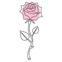 Rose Blume kontinuierlich Single Linie Kunst Zeichnung Gliederung Vektor Illustration minimalistisch Design