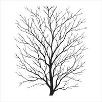 minimal Herbst nackt Baum Vektor Silhouette