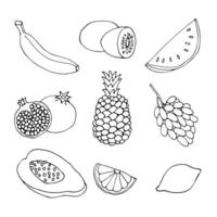 Vektor einstellen von Früchte im Karikatur Stil auf ein Weiß Hintergrund. Gliederung Zeichnung von Ananas, Zitrone, Banane, Trauben, Kiwi, Wassermelone und Granatapfel Frucht.