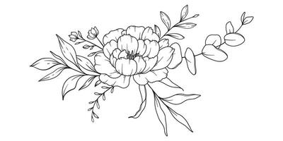 Pfingstrose Linie Zeichnung. schwarz und Weiß Blumen- Blumensträuße. Blume Färbung Buchseite. Blumen- Linie Kunst. fein Linie Pfingstrose Illustration. Hand gezeichnet Blumen. botanisch Färbung. Hochzeit Einladung Blumen vektor