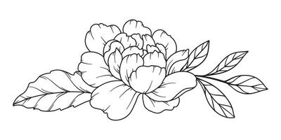 pion linje teckning. svart och vit blommig buketter. blomma färg sida. blommig linje konst. bra linje pion illustration. hand dragen blommor. botanisk färg. bröllop inbjudan blommor vektor