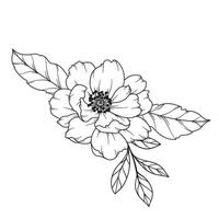 Pfingstrose Linie Zeichnung. schwarz und Weiß Blumen- Blumensträuße. Blume Färbung Buchseite. Blumen- Linie Kunst. fein Linie Pfingstrose Illustration. Hand gezeichnet Blumen. botanisch Färbung. Hochzeit Einladung Blumen vektor