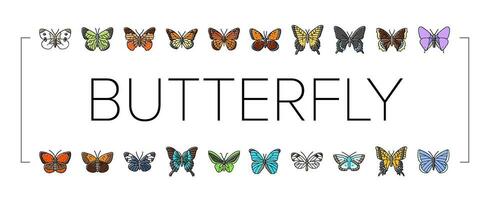 Schmetterling Sommer- Frühling Insekt Symbole einstellen Vektor