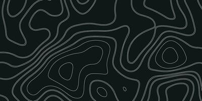 abstrakt Muster mit Linien. Hintergrund von das topografisch Karte. abstrakt topografisch Hintergrund. Schwarz, Weiß Papier schneiden. abstrakt schwarz vektor
