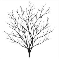 nackt Baum Vektor Silhouette schwarz Farbe, ein tot Baum Vektor Silhouette, Baum Geäst Silhouette