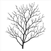 minimal höst naken träd vektor silhuett