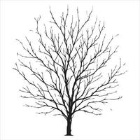 nackt Baum Vektor Silhouette schwarz Farbe, ein tot Baum Vektor Silhouette, Baum Geäst Silhouette