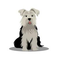en yorkshire terrier hund. vektor illustration på en vit bakgrund