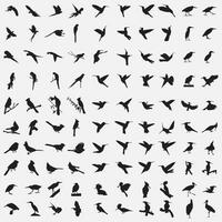 fåglar silhuett uppsättning vektor