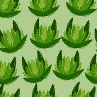 sömlös mönster med aloe vera medicinsk växt skära löv isolerat på vit bakgrund.medicinsk örter bakgrund. vektor illustration i tecknad serie platt stil.