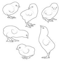 süß Karikatur Hähnchen Satz. komisch Hühner im anders Posen, schwarz und Weiß. vektor