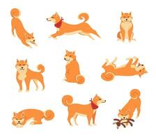 tecknad serie Färg tecken söt shiba inu hundar uppsättning. vektor