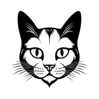 süß Katze Vektor schwarz und Weiß Karikatur Charakter Design Sammlung. Weiß Hintergrund. Haustiere, Tiere.