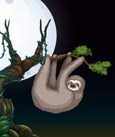 Sloth på Tree Branch på natten vektor