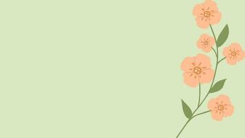 Pfirsich Flaum Blumen- Hintergrund mit Kopieren Raum. pfirsichfarben Blumen auf horizontal Banner und Exemplar. eben Stil Vektor Illustration mit modisch 2024 Farbe. Frühling Gruß Karte zum Frau, Mutter Tag