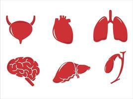 Mensch intern Organe. Vektor skizzieren isoliert Illustration. Hand gezeichnet Gekritzel Anatomie Symbole Satz.