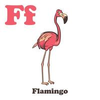 Flamingo Alphabet Karikatur Charakter zum Kinder vektor