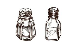 ritad för hand skisser av glas salt skakare med metall lock. årgång teckning av salt shakers. vektor svart bläck mat skiss illustration. mat. illustration för de meny.