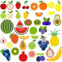 frukt ikon vektor. mat illustration tecken. vitaminer symbol. vegetarian logotyp. vektor