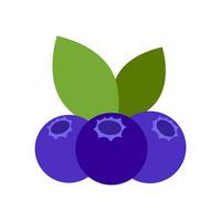 Blaubeere Symbol Vektor. Früchte Illustration unterzeichnen. Vitamine Symbol. Vegetarier Logo. Essen markieren. vektor