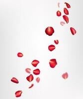 realistisk flygande röd reste sig kronblad på en vit bakgrund. perfekt för romantisk kort, bröllop, och hjärtans dag firande. de design skapar en skön, naturlig, och festlig atmosfär. inte ai vektor