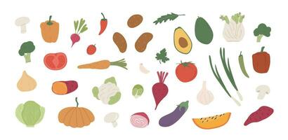 Sammlung von anders Gemüse. bündeln von organisch natürlich Getreide, Salate, Grüns und Kräuter. Vektor Illustration im eben Karikatur Stil isoliert auf Weiß Hintergrund.