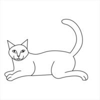 kontinuerlig ett linje katt sällskapsdjur djur- översikt konst vektor illustration och minimalistisk teckning