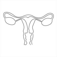 kontinuerlig ett linje hand dra kvinna dag översikt vektor konst illustration kvinna reproduktiv livmoder