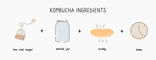 Kombucha fermentiert probiotisch hausgemacht trinken Führung. Tee Pilz brauen Methode mit Scoby. gesund Tee Pilz trinken Zutaten. eben Stil Hand gezeichnet Vektor Illustration