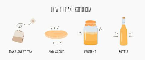 Kombucha fermentiert probiotisch hausgemacht trinken Führung. Tee Pilz brauen Methode mit Scoby. gesund Tee Pilz trinken Zutaten. eben Stil Hand gezeichnet Vektor Illustration