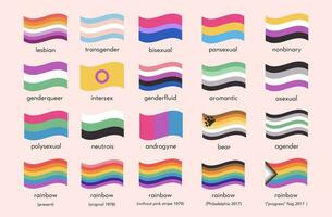 sexuell identitet stolthet flaggor. uppsättning av HBTQ symboler. infographic av sexuell mångfald. kön flagga. Gay, transpersoner, bisexuell, könlös, icke binär. samling av stolthet parad ikoner. vektor illustration.