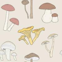 annorlunda svamp sömlös mönster. hand dragen svampar. armillaria, blåser, boletus, kantarell. färgrik vektor illustration mönster.
