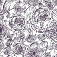 schön detailliert pionförmig Rose nahtlos Muster. Hand gezeichnet blühen Blumen und Blätter. schwarz und Weiß Jahrgang Vektor Illustration.