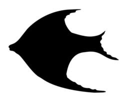 Kaiserfisch Vektor Silhouette. Illustration von Fisch gemalt durch schwarz Tinten auf isoliert Weiß Hintergrund. Kunst von unter Wasser Tier zum Symbol oder Logo. unterseeisch einfarbig Gravur