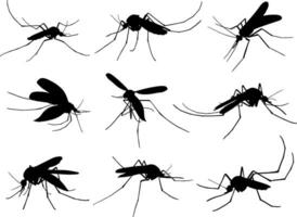 djur- mygga silhuetter vektor
