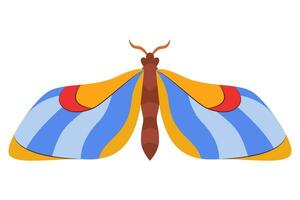 bunt Schmetterling Symbol Logo isoliert. schön Schmetterling Illustration vektor