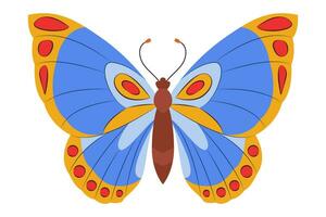 bunt Schmetterling Symbol Logo isoliert. schön Schmetterling Illustration vektor