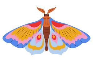 bunt Schmetterling Symbol Logo isoliert. schön Schmetterling Illustration vektor