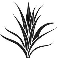 Heilung Anmut schwarz Aloe Vektor Design Kräuter- Oase Aloe vera schwarz Symbol Emblem