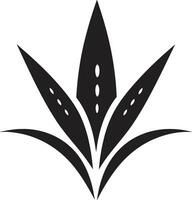 botanisch Harmonie Aloe vera schwarz Logo Symbol Heilung Oase schwarz Vektor Aloe Design