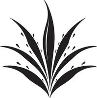 Aloe Wesen Vektor schwarz Pflanze Emblem botanisch Aura Aloe schwarz Logo Design